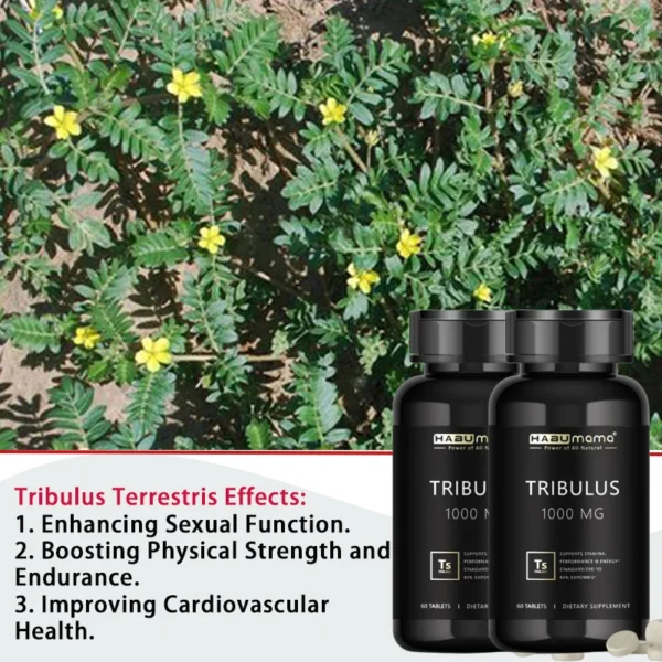 Tribulus Terrestris, Top-Performing Male Energy Supplement - Image 5