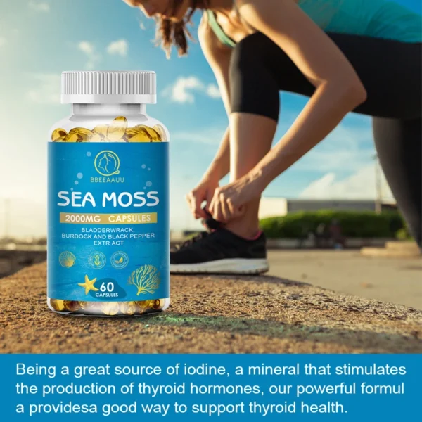 Organic Burdock Root Sea Moss Capsules - Image 14