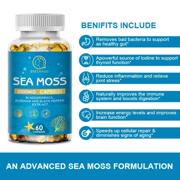 Organic Burdock Root Sea Moss Capsules - Image 12