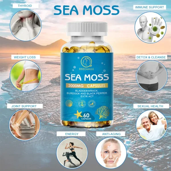 Organic Burdock Root Sea Moss Capsules - Image 4