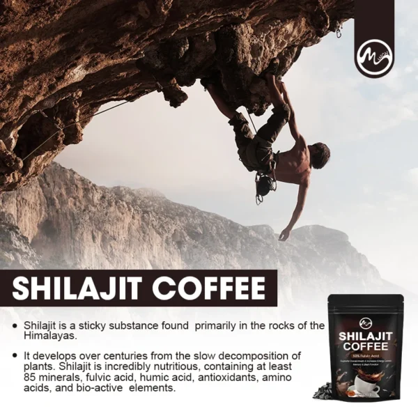 Pure Himalayan Shilajit Resin - High Potency for Energy Boost & Immunity - Image 4